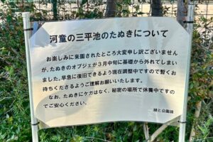 いなくなったタヌキ