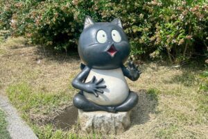 帰ってきたタヌキ