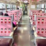 ねこ娘列車 車内