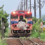 ねこ娘列車 前面