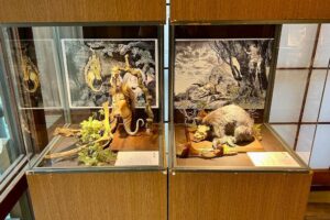 「日本妖怪入門展」