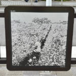 イラストパネル