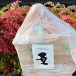 お披露目前のブロンズ像