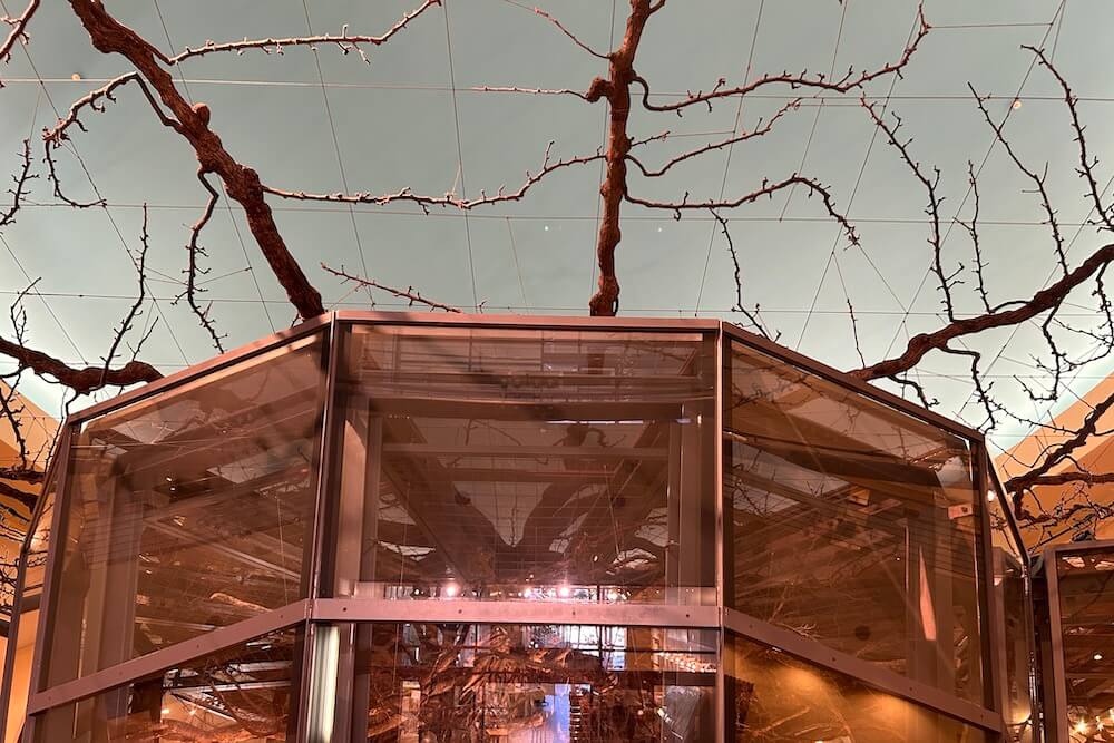 二十世紀梨の巨木