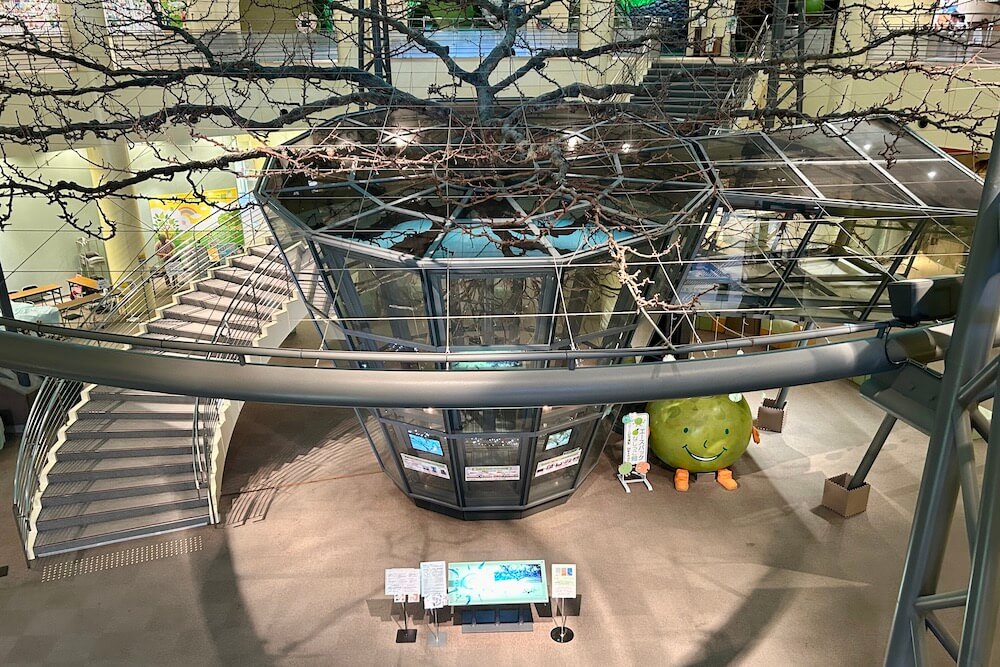 二十世紀梨の巨木