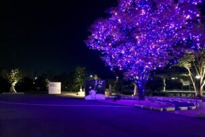 境港駅前公園ライトアップ