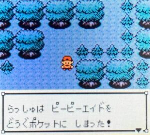 トレーナーの横を通り過ぎたところ